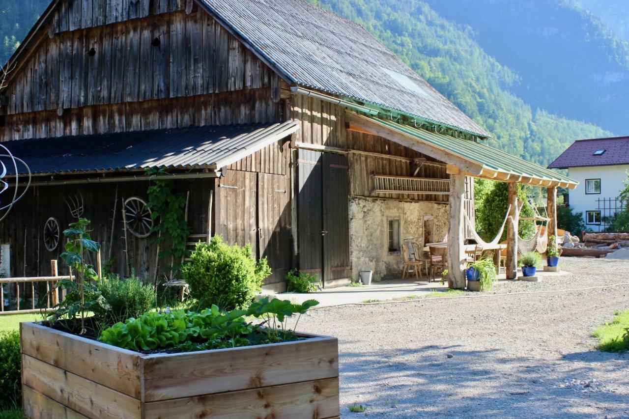 Chalet am Sonnenhang Obertraun Eksteriør billede